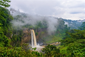 Vaccines for travel in West Africa