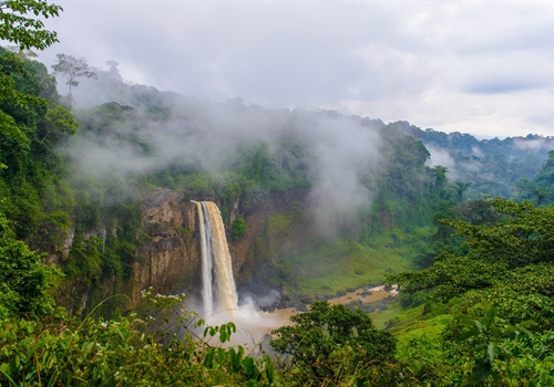 Vaccines for travel in West Africa