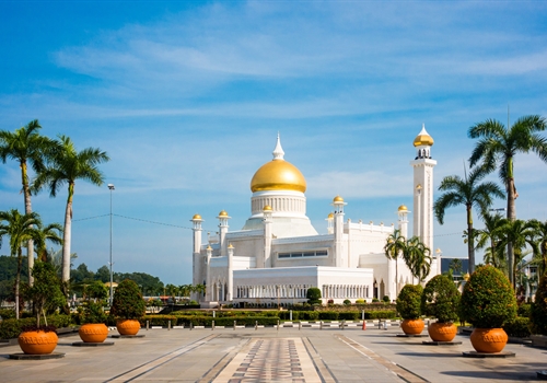 Injections for Brunei Darussalam Injections for Brunei Darussalam