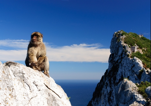 Injections for Gibraltar Injections for Gibraltar