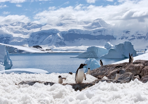 Injections for Antarctica Injections for Antarctica