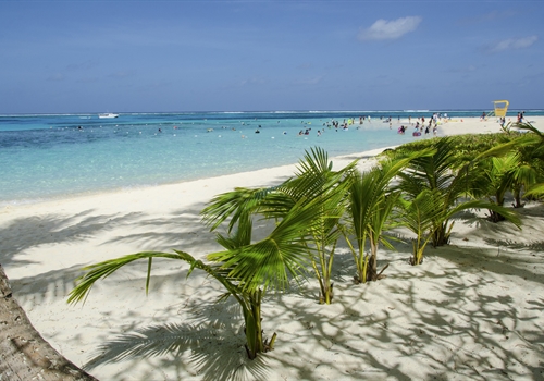 Injections for Northern Mariana Islands Injections for Northern Mariana Islands