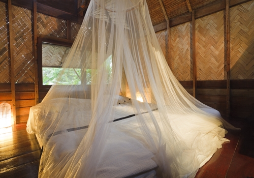 Malaria